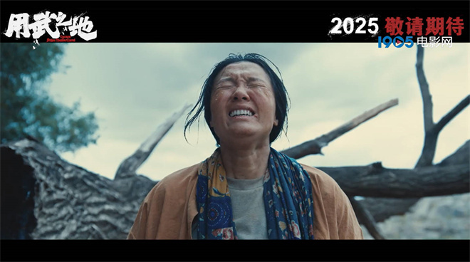 20250401104138190723